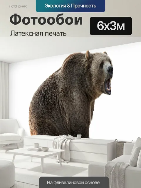 600 × 300 см · Латексная печать