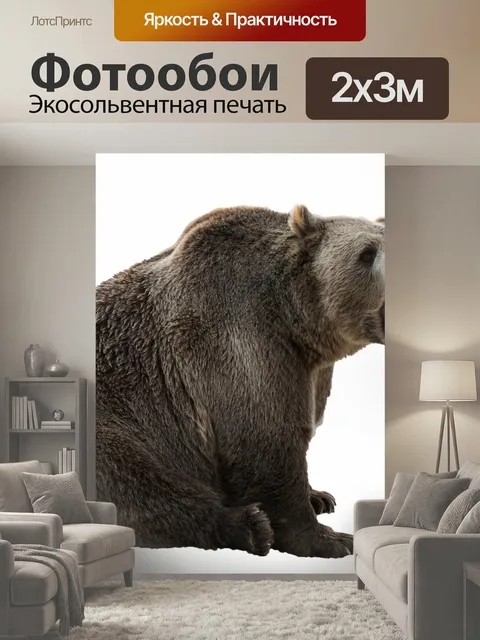 200 × 300 см · Экосольвентная печать