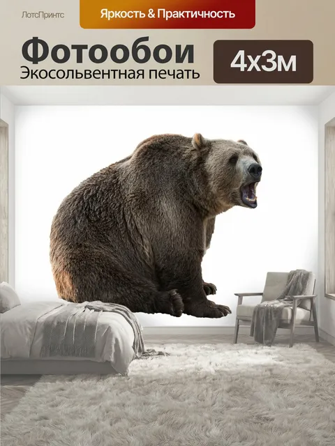 400 × 300 см · Экосольвентная печать