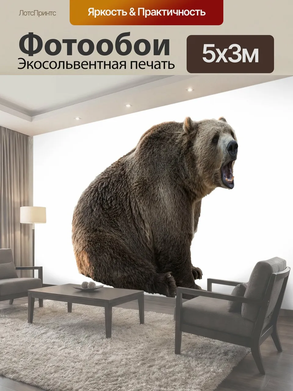 Фотообои Медведь изолированных белом фоне Большой бурый медведь