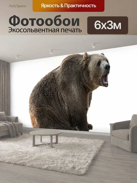 600 × 300 см · Экосольвентная печать