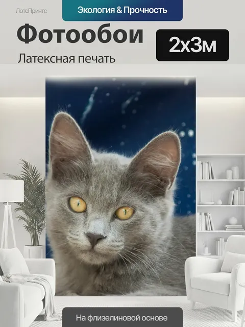 200 × 300 см · Латексная печать