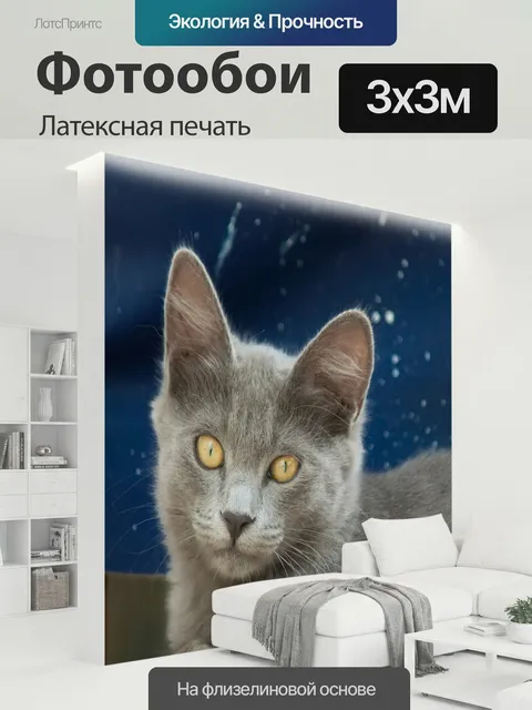 300 × 300 см · Латексная печать