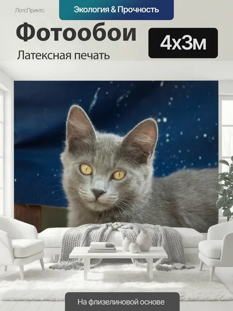 400 × 300 см · Латексная печать
