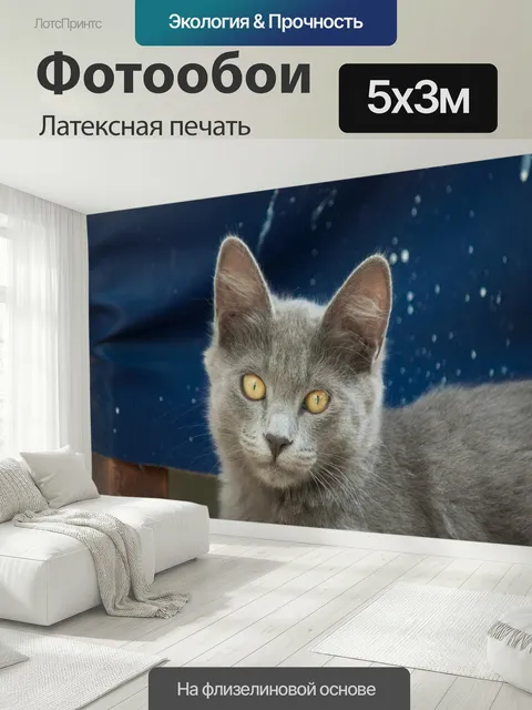 500 × 300 см · Латексная печать