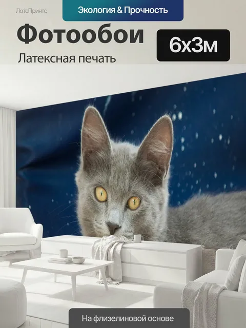 600 × 300 см · Латексная печать