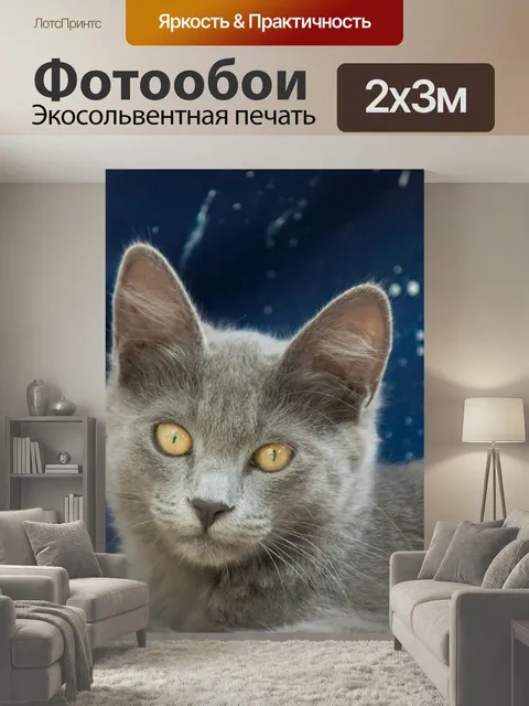 200 × 300 см · Экосольвентная печать