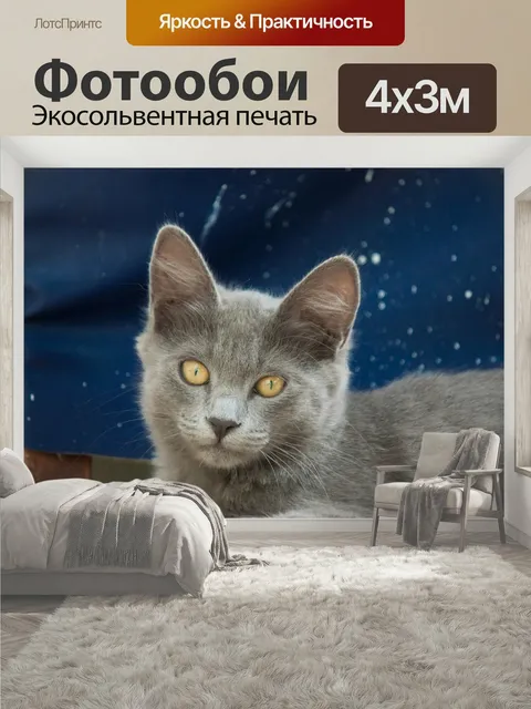 400 × 300 см · Экосольвентная печать