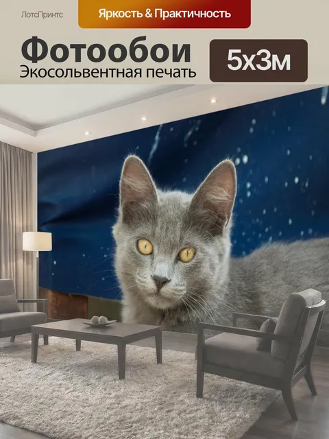 500 × 300 см · Экосольвентная печать