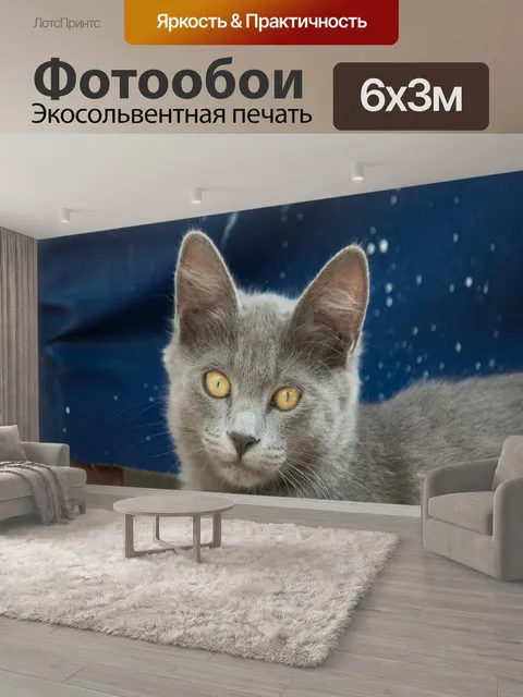 600 × 300 см · Экосольвентная печать