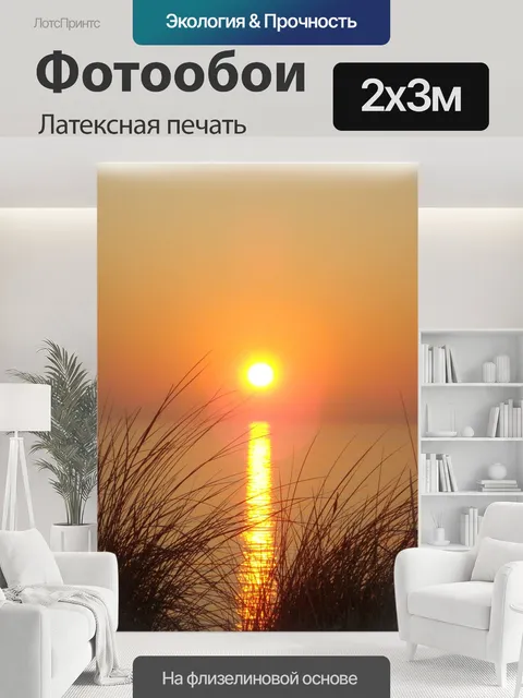 200 × 300 см · Латексная печать