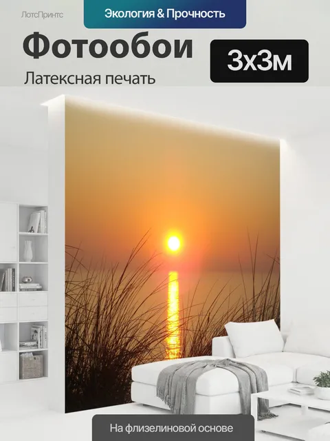 300 × 300 см · Латексная печать