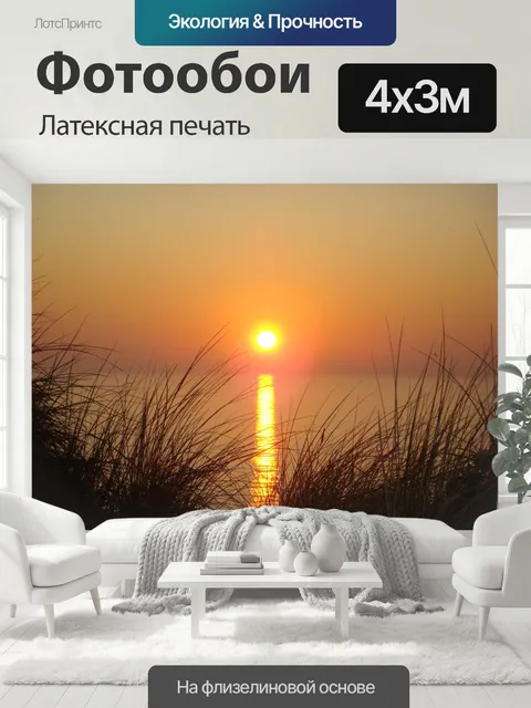 400 × 300 см · Латексная печать