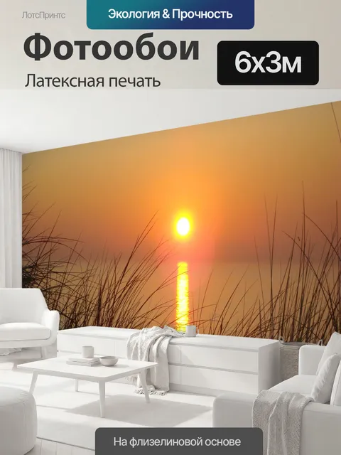 600 × 300 см · Латексная печать