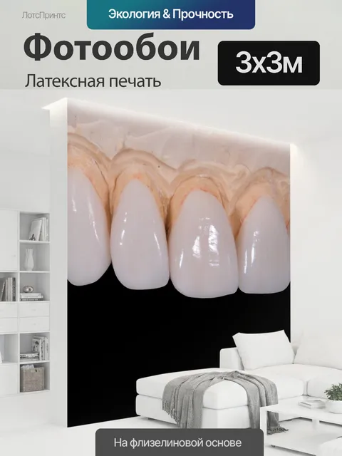 300 × 300 см · Латексная печать