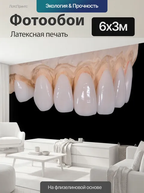 600 × 300 см · Латексная печать