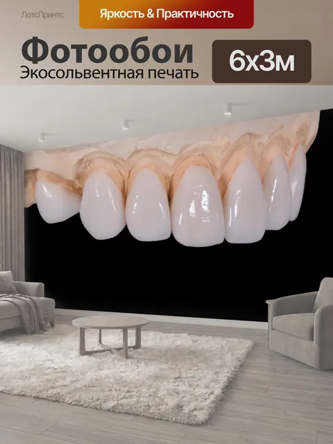 600 × 300 см · Экосольвентная печать