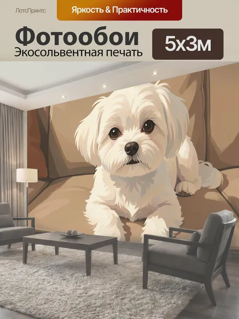 Фотообои Белая собака на диване