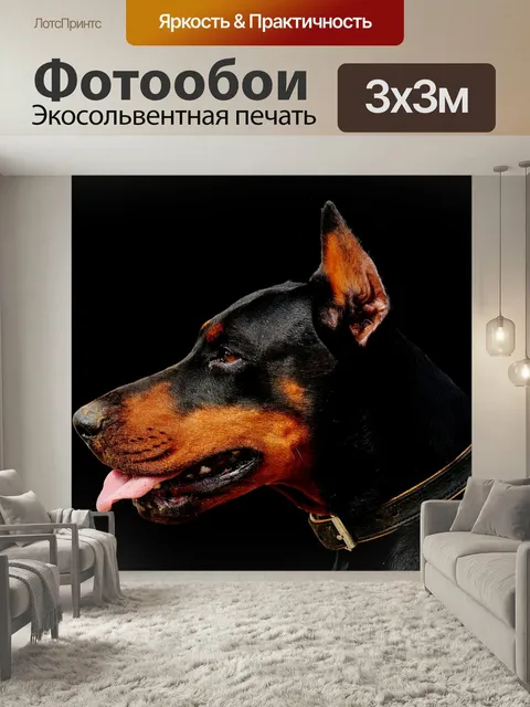 Фотообои Доберман, собака, дикая природа