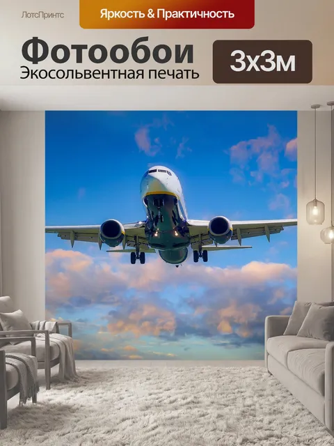 Фотообои Летающий, самолет, посадка