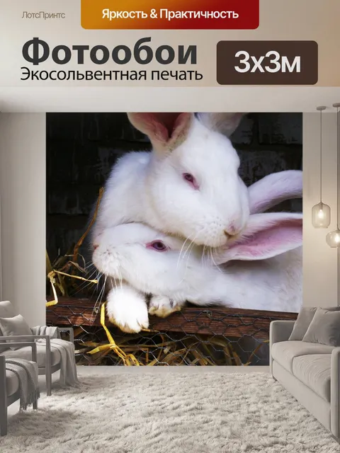 Фотообои Любовь, заяц любовь, кролик