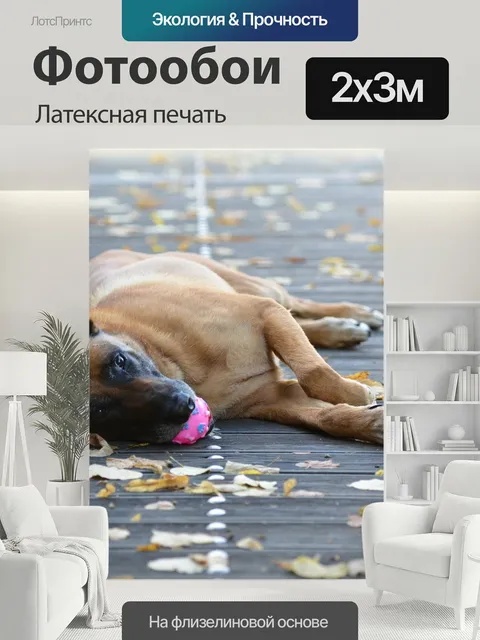 200 × 300 см · Латексная печать