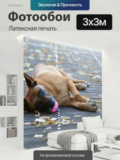 300 × 300 см · Латексная печать