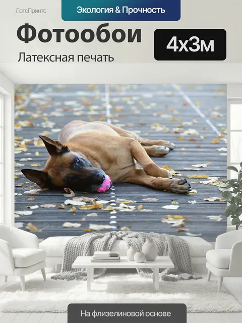 400 × 300 см · Латексная печать