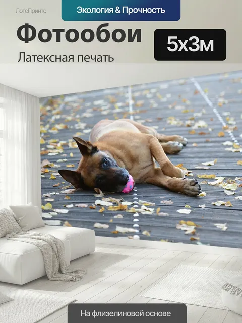 500 × 300 см · Латексная печать
