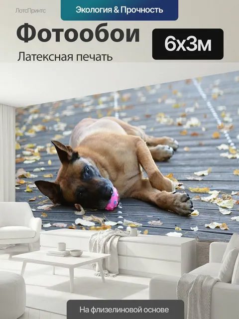 600 × 300 см · Латексная печать