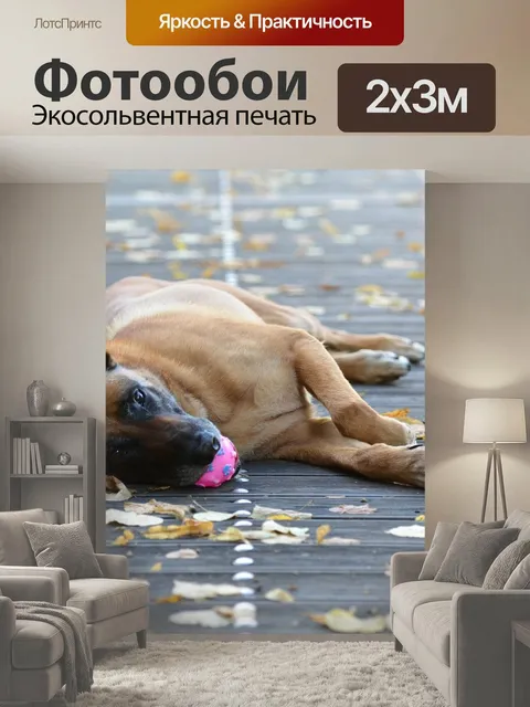 200 × 300 см · Экосольвентная печать