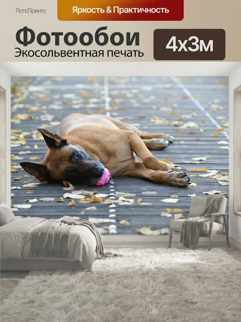 400 × 300 см · Экосольвентная печать