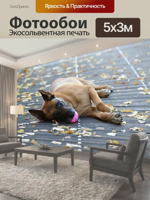 500 × 300 см · Экосольвентная печать