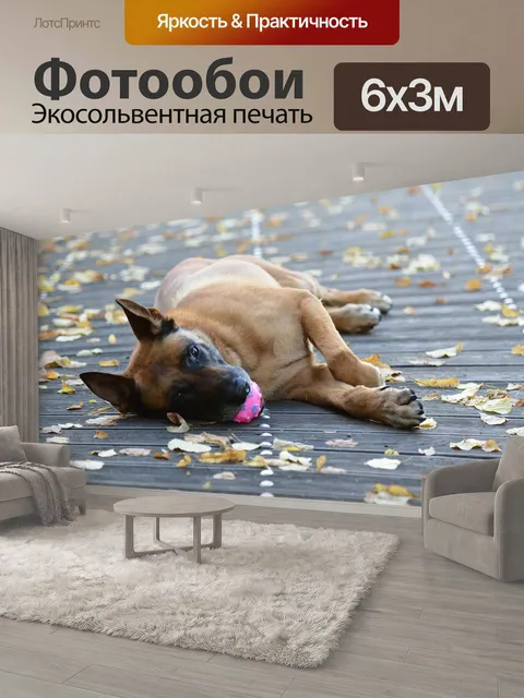 600 × 300 см · Экосольвентная печать