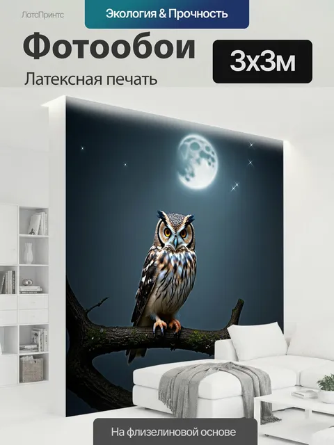 300 × 300 см · Латексная печать