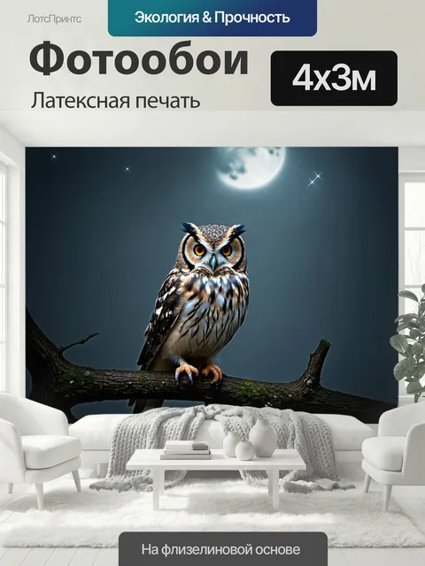 400 × 300 см · Латексная печать