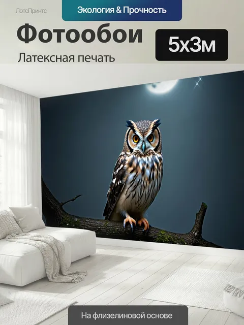 500 × 300 см · Латексная печать
