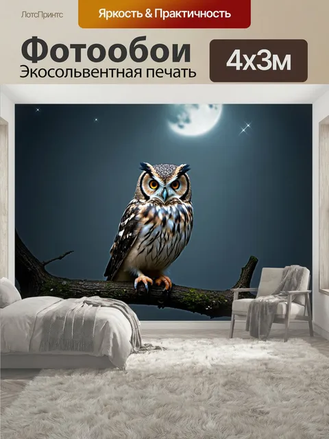 400 × 300 см · Экосольвентная печать