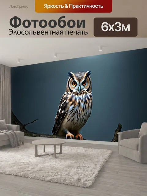 600 × 300 см · Экосольвентная печать