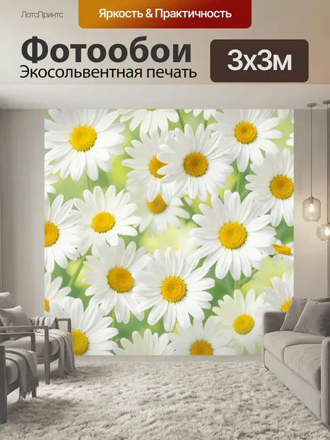 Фотообои Белые ромашки на зеленом фоне. Нежный цветочный мотив с крупными …