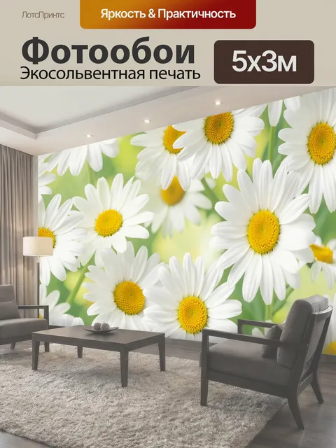 Фотообои Белые ромашки на зеленом фоне