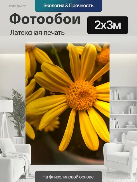 200 × 300 см · Латексная печать
