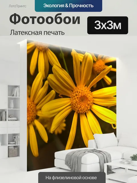 300 × 300 см · Латексная печать