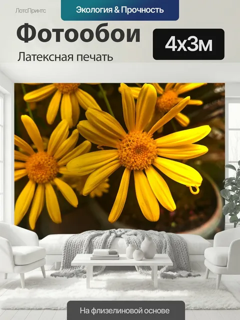400 × 300 см · Латексная печать