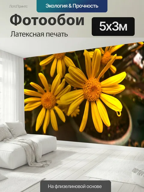 500 × 300 см · Латексная печать