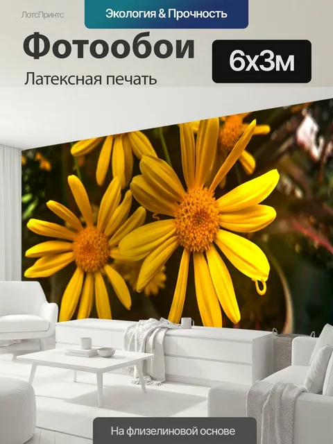 600 × 300 см · Латексная печать