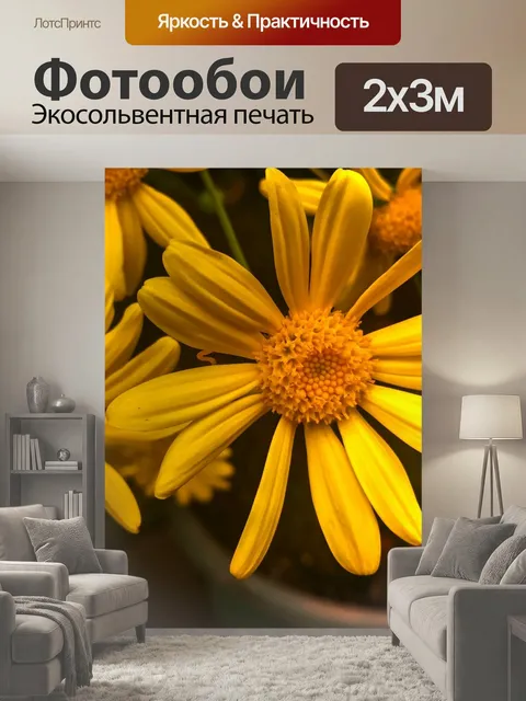 200 × 300 см · Экосольвентная печать