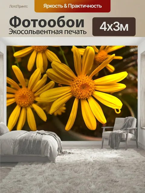 400 × 300 см · Экосольвентная печать