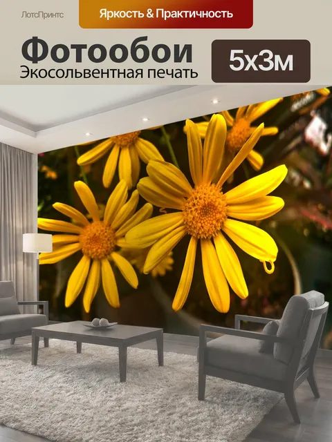 Фотообои Желтые весенние ромашки