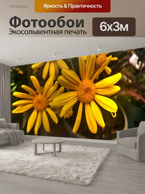 600 × 300 см · Экосольвентная печать